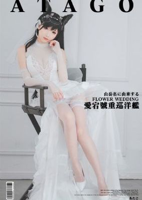 暗卫半夜把王妃做爽翻天_高清在线观看视频
